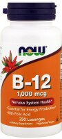 Now Foods B-12 1000 mcg- 250 Lutschtabletten